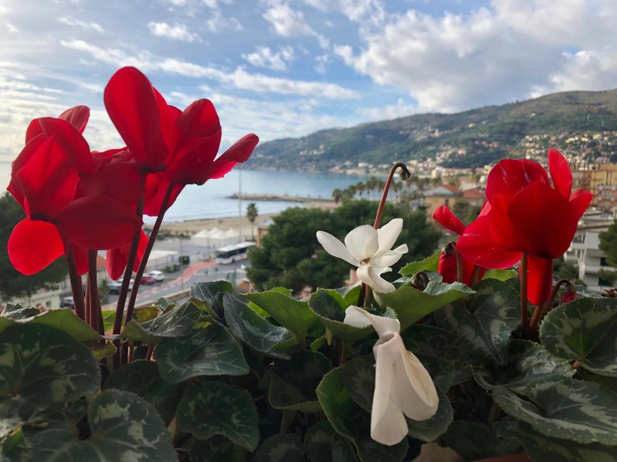 Appartamenti La Pineta Marina dʼMarina dʼAndora Esterno foto
