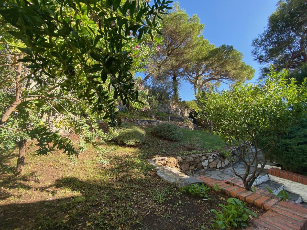 Appartamenti La Pineta Marina dʼMarina dʼAndora Esterno foto